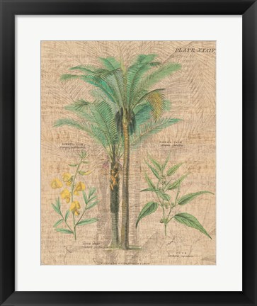 Framed Palm Study II Print