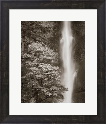 Framed Multnomah Falls Print