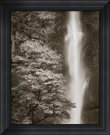 Framed Multnomah Falls Print