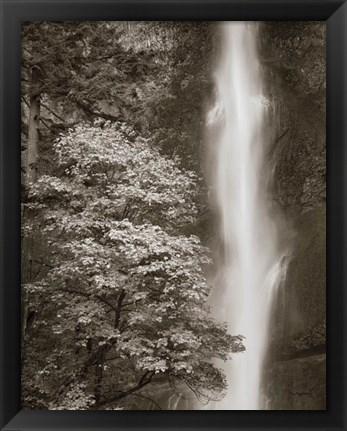 Framed Multnomah Falls Print