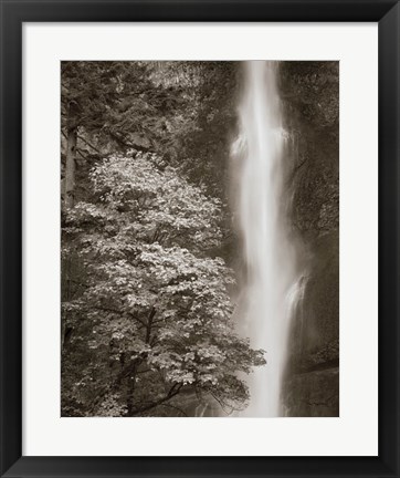 Framed Multnomah Falls Print