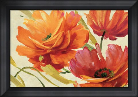 Framed Flamboyant III Print