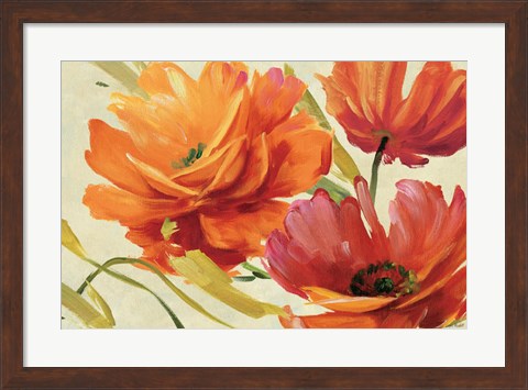 Framed Flamboyant III Print
