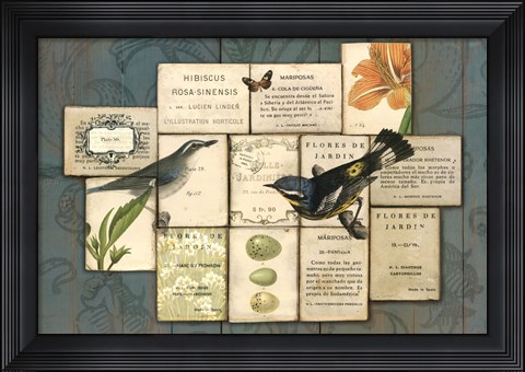 Framed Birds of the Garden Print