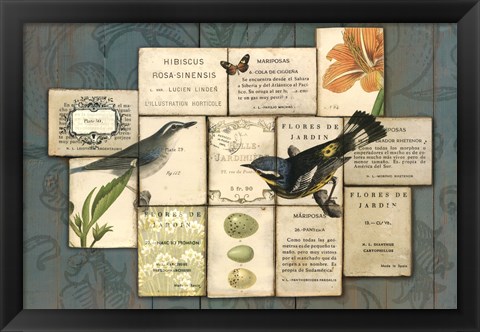 Framed Birds of the Garden Print