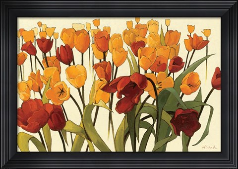 Framed Tulipomania Print
