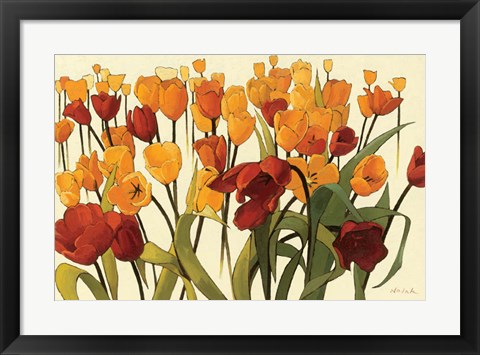 Framed Tulipomania Print