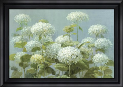 Framed White Hydrangea Garden Print