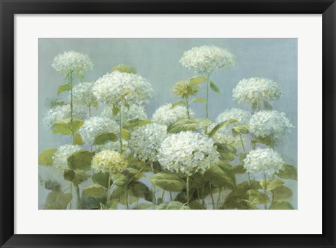 Framed White Hydrangea Garden Print