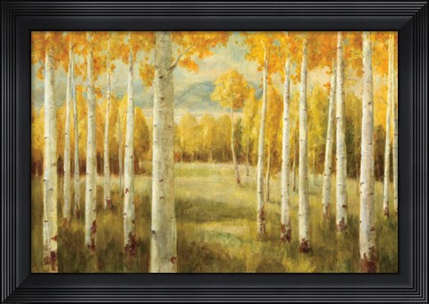 Framed Aspens Print