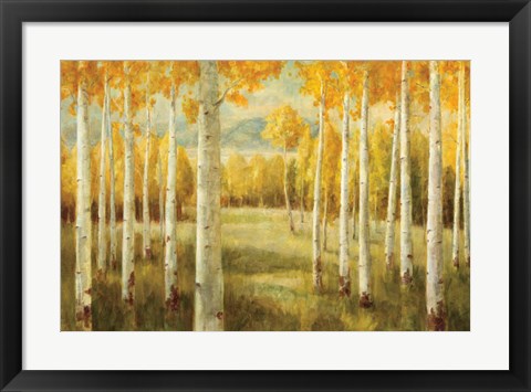 Framed Aspens Print