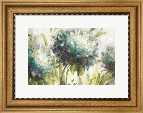 Framed Hydrangea Field Print