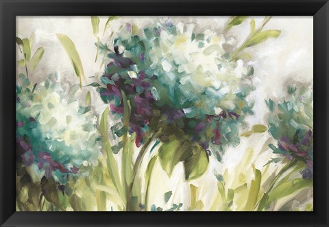 Framed Hydrangea Field Print