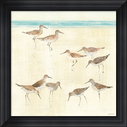 Framed Sandpipers Print