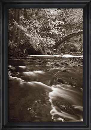 Framed Whatcom Creek Print