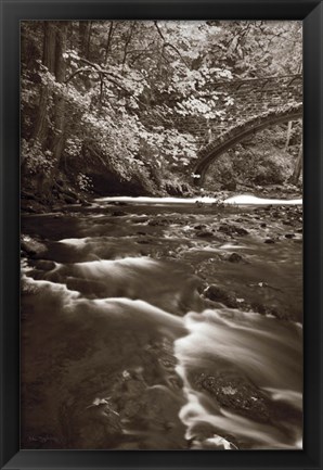 Framed Whatcom Creek Print