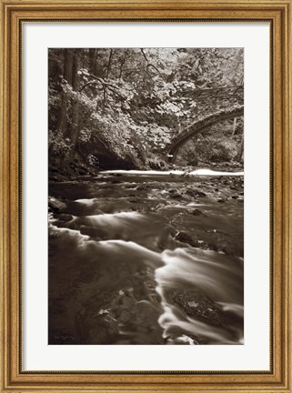 Framed Whatcom Creek Print