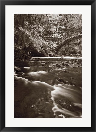 Framed Whatcom Creek Print