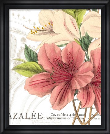 Framed Azalee Jardin I Print