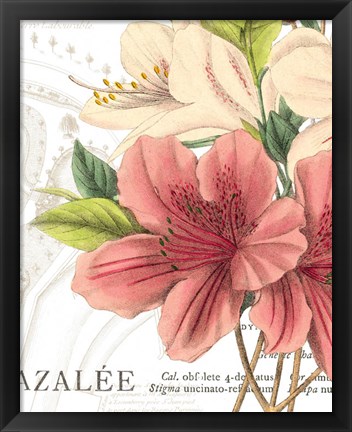 Framed Azalee Jardin I Print