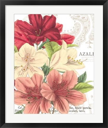 Framed Azalee Jardin II Print