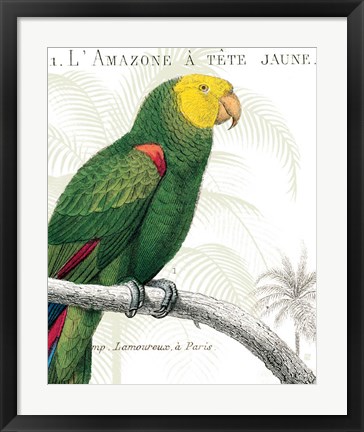 Framed Parrot Botanique I Print