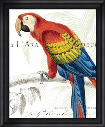 Framed Parrot Botanique II Print