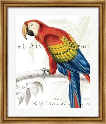 Framed Parrot Botanique II Print