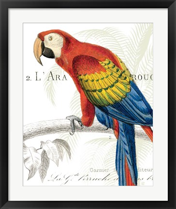 Framed Parrot Botanique II Print