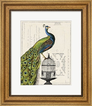 Framed Peacock Birdcage I Print