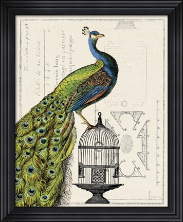 Framed Peacock Birdcage I Print