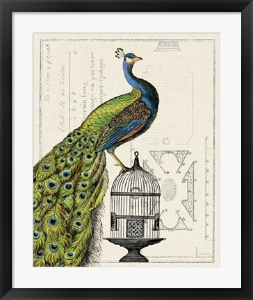 Framed Peacock Birdcage I Print