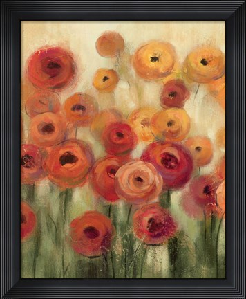 Framed Ranunculi Field II Print