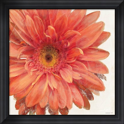 Framed Vivid Daisy Print