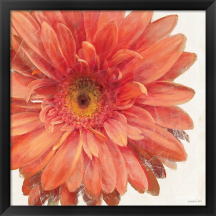 Framed Vivid Daisy Print