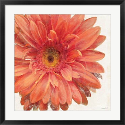 Framed Vivid Daisy Print