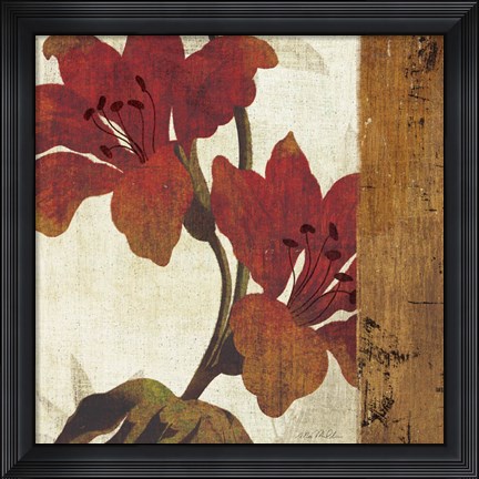 Framed Floral Harmony III Print