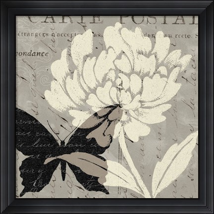 Framed Natural Prints I Print