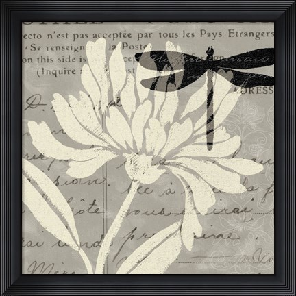 Framed Natural Prints II Print