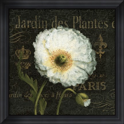 Framed Botanical Garden I Print
