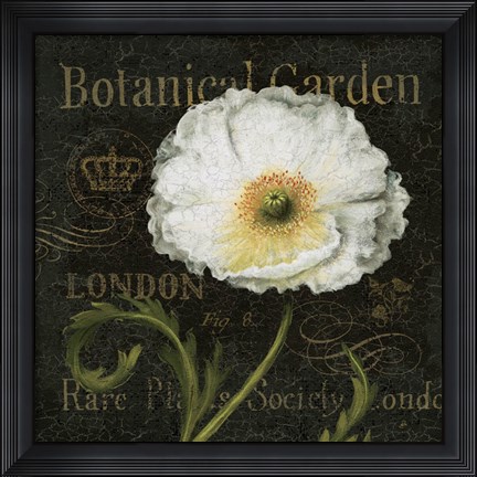 Framed Botanical Garden II Print
