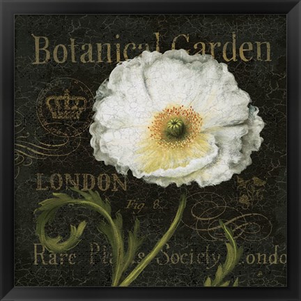 Framed Botanical Garden II Print