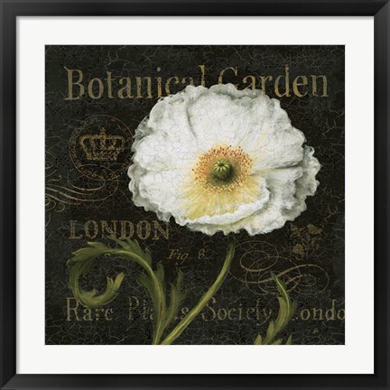 Framed Botanical Garden II Print