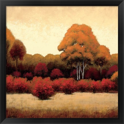 Framed Autumn Forest I Print