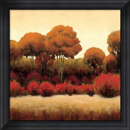 Framed Autumn Forest II Print