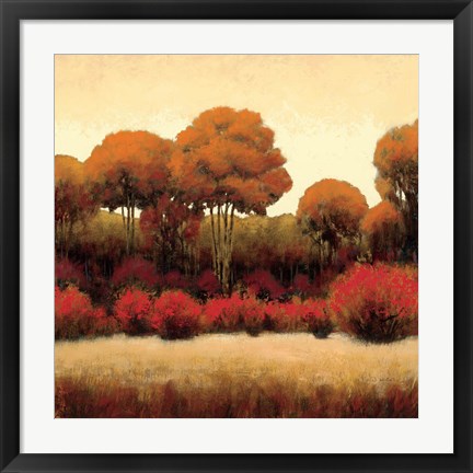 Framed Autumn Forest II Print