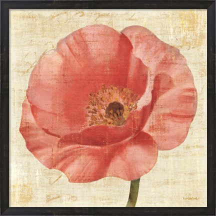 Framed Blushing Poppy on Cream Print