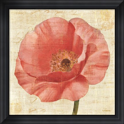 Framed Blushing Poppy on Cream Print