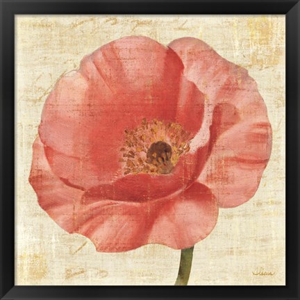 Framed Blushing Poppy on Cream Print