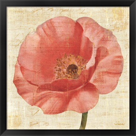 Framed Blushing Poppy on Cream Print